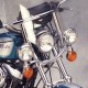 Люстра National Cycle для HD
